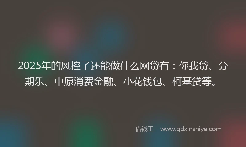 2025年的风控了还能做什么网贷有：你我贷、分期乐、中原消费金融、小花钱包、柯基贷等。