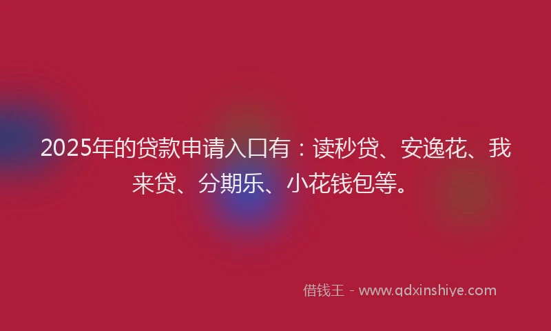 2025年的贷款申请入口有：读秒贷、安逸花、我来贷、分期乐、小花钱包等。