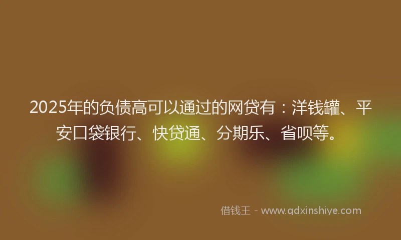 2025年的负债高可以通过的网贷有：洋钱罐、平安口袋银行、快贷通、分期乐、省呗等。