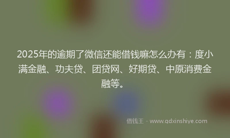 2025年的逾期了微信还能借钱嘛怎么办有：度小满金融、功夫贷、团贷网、好期贷、中原消费金融等。