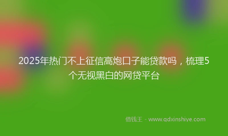 2025年热门不上征信高炮口子能贷款吗，梳理5个无视黑白的网贷平台