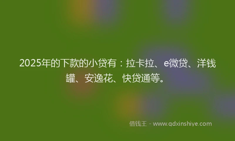 2025年的下款的小贷有：拉卡拉、e微贷、洋钱罐、安逸花、快贷通等。