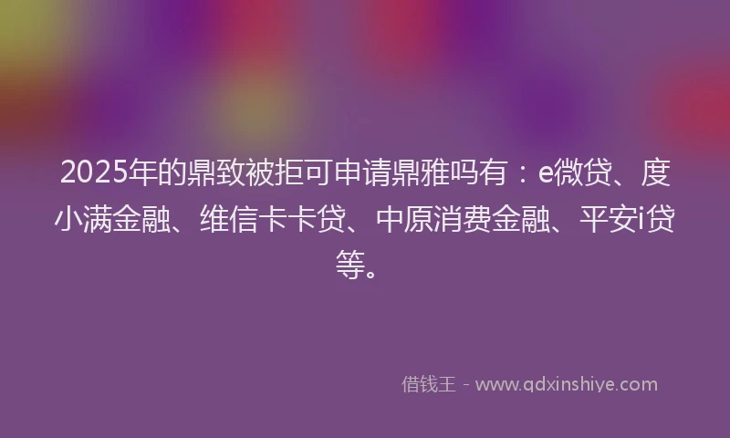 2025年的鼎致被拒可申请鼎雅吗有：e微贷、度小满金融、维信卡卡贷、中原消费金融、平安i贷等。