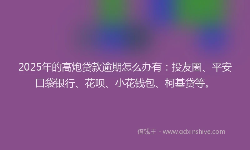 2025年的高炮贷款逾期怎么办有：投友圈、平安口袋银行、花呗、小花钱包、柯基贷等。