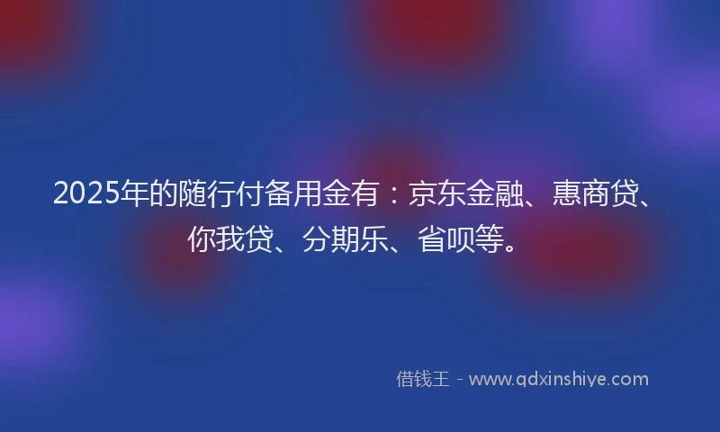 2025年的随行付备用金有：京东金融、惠商贷、你我贷、分期乐、省呗等。