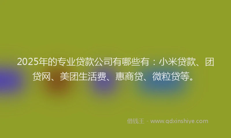 2025年的专业贷款公司有哪些有:小米贷款、团贷网、美团生活费、惠商贷、微粒贷等。
