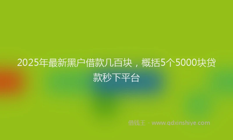 2025年最新黑户借款几百块，概括5个5000块贷款秒下平台
