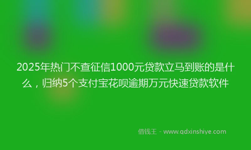 2025年热门不查征信1000元贷款立马到账的是什么，归纳5个支付宝花呗逾期万元快速贷款软件