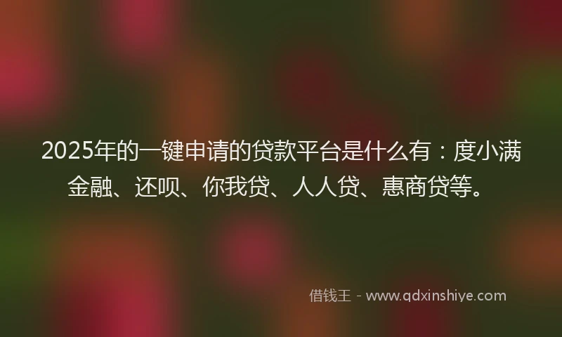 2025年的一键申请的贷款平台是什么有：度小满金融、还呗、你我贷、人人贷、惠商贷等。