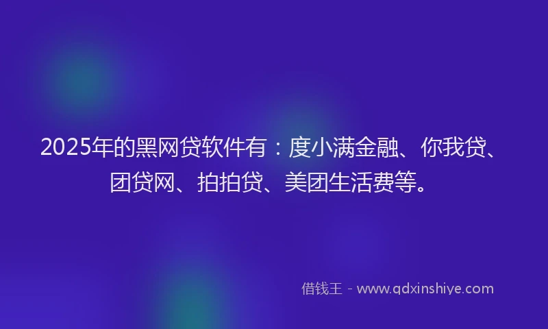 2025年的黑网贷软件有：度小满金融、你我贷、团贷网、拍拍贷、美团生活费等。