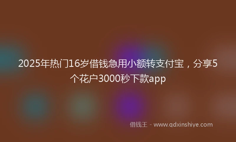 2025年热门16岁借钱急用小额转支付宝，分享5个花户3000秒下款app