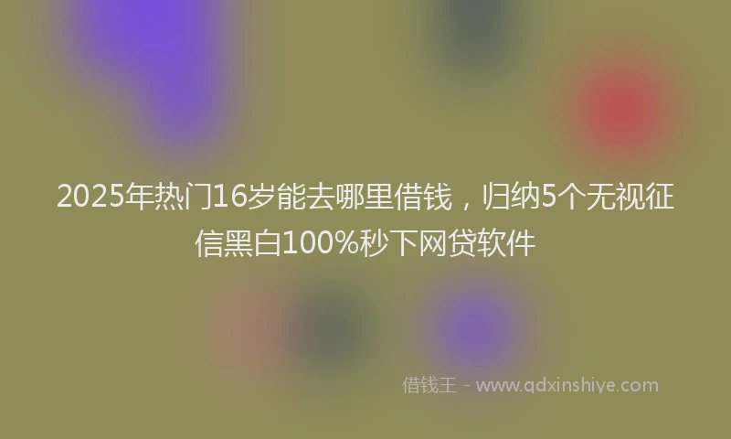 2025年热门16岁能去哪里借钱，归纳5个无视征信黑白100%秒下网贷软件