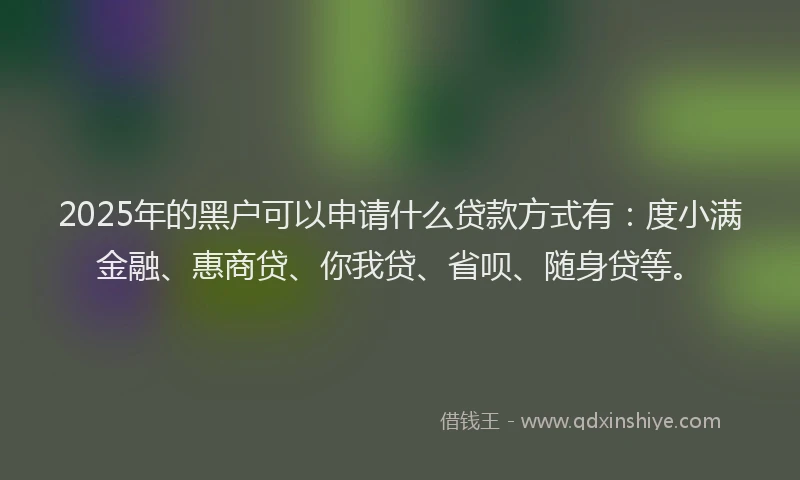 2025年的黑户可以申请什么贷款方式有：度小满金融、惠商贷、你我贷、省呗、随身贷等。