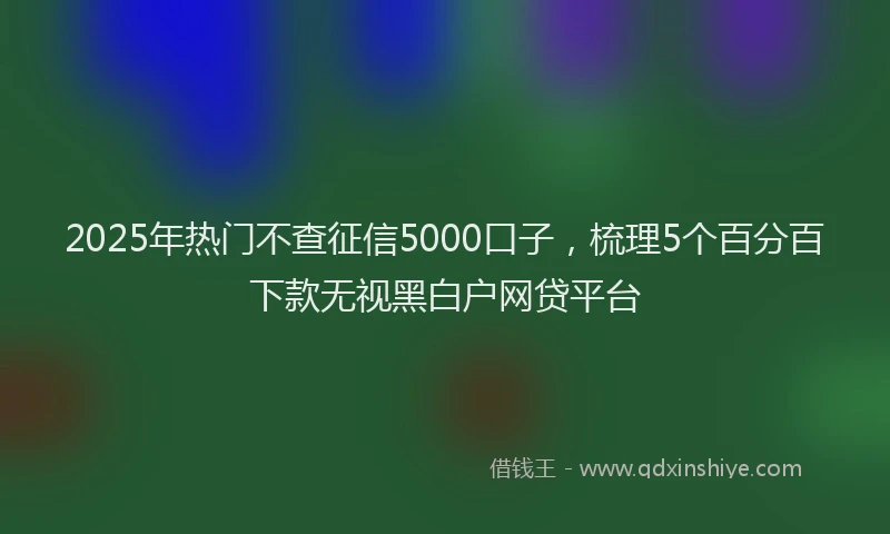 2025年热门不查征信5000口子，梳理5个百分百下款无视黑白户网贷平台