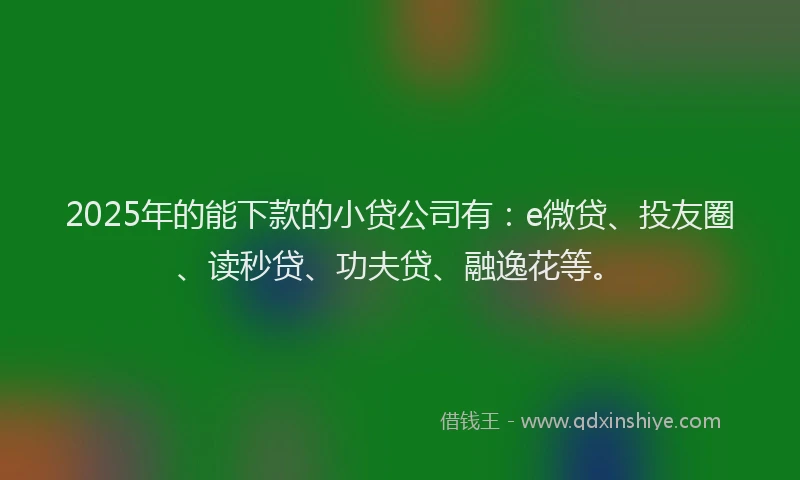 2025年的能下款的小贷公司有：e微贷、投友圈、读秒贷、功夫贷、融逸花等。