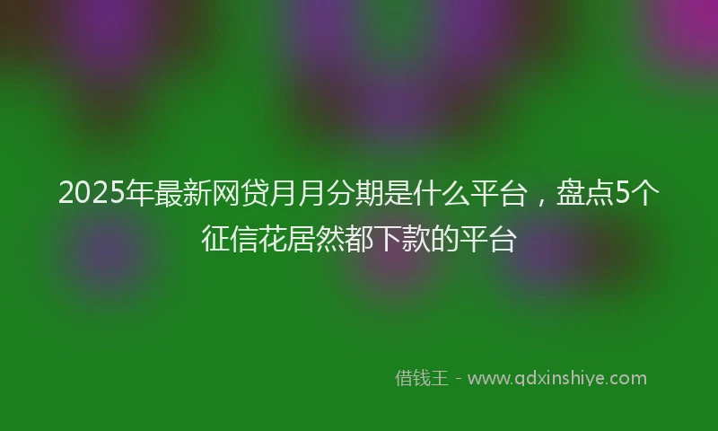 2025年最新网贷月月分期是什么平台，盘点5个征信花居然都下款的平台