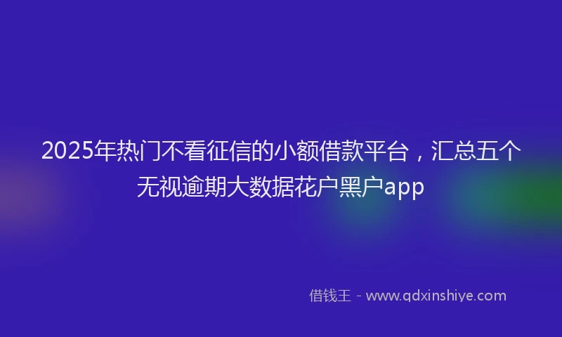 2025年热门不看征信的小额借款平台，汇总五个无视逾期大数据花户黑户app