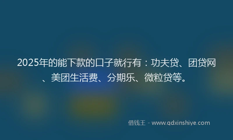 2025年的能下款的口子就行有：功夫贷、团贷网、美团生活费、分期乐、微粒贷等。