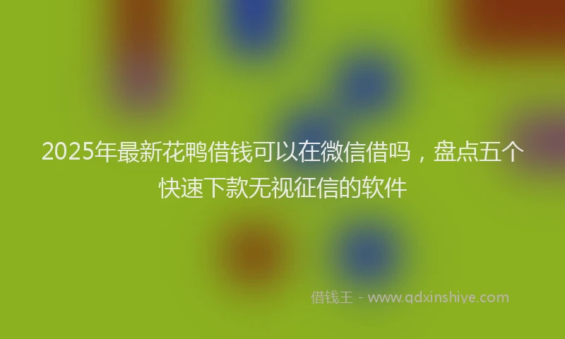 2025年最新花鸭借钱可以在微信借吗，盘点五个快速下款无视征信的软件