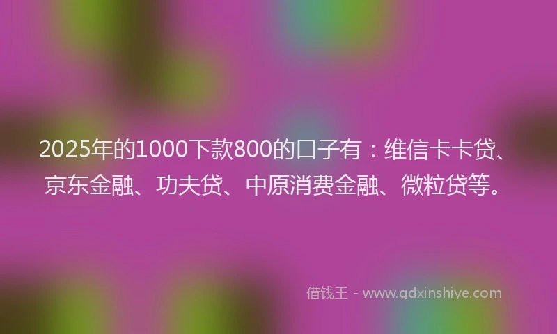 2025年的1000下款800的口子有：维信卡卡贷、京东金融、功夫贷、中原消费金融、微粒贷等。