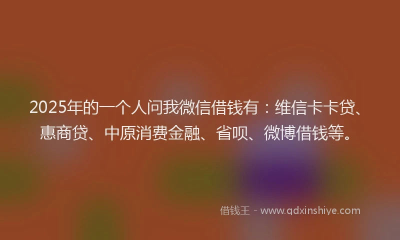 2025年的一个人问我微信借钱有：维信卡卡贷、惠商贷、中原消费金融、省呗、微博借钱等。
