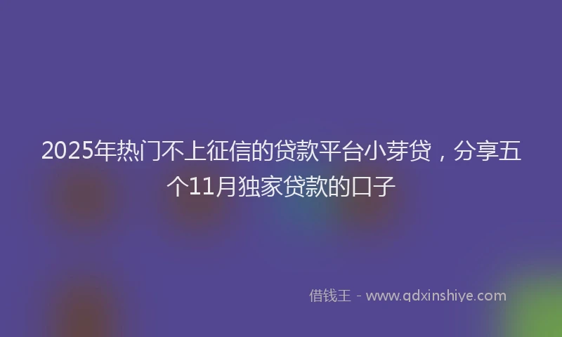 2025年热门不上征信的贷款平台小芽贷，分享五个11月独家贷款的口子