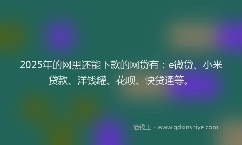 2025年的网黑还能下款的网贷有：e微贷、小米贷款、洋钱罐、花呗、快贷通等。