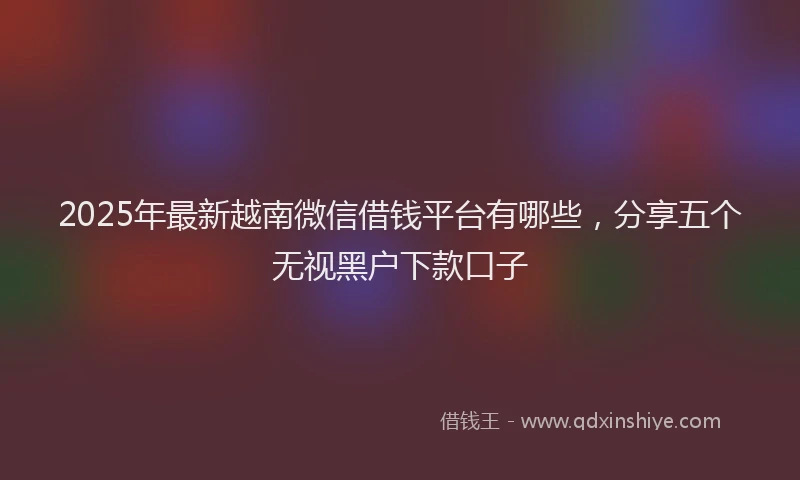 2025年最新越南微信借钱平台有哪些，分享五个无视黑户下款口子