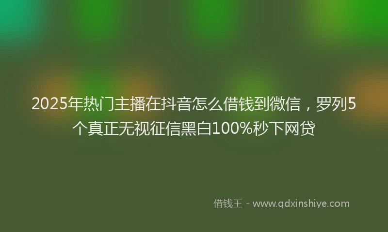2025年热门主播在抖音怎么借钱到微信，罗列5个真正无视征信黑白100%秒下网贷
