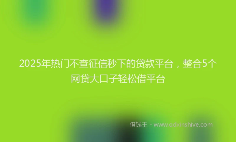 2025年热门不查征信秒下的贷款平台，整合5个网贷大口子轻松借平台