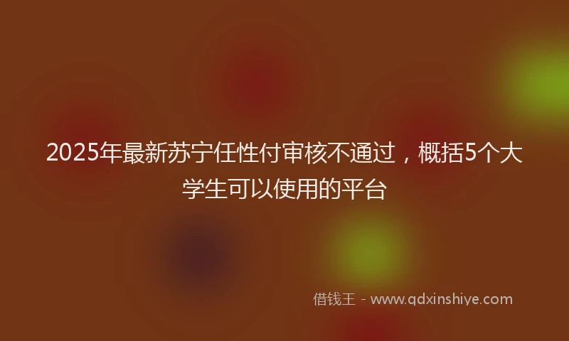 2025年最新苏宁任性付审核不通过，概括5个大学生可以使用的平台