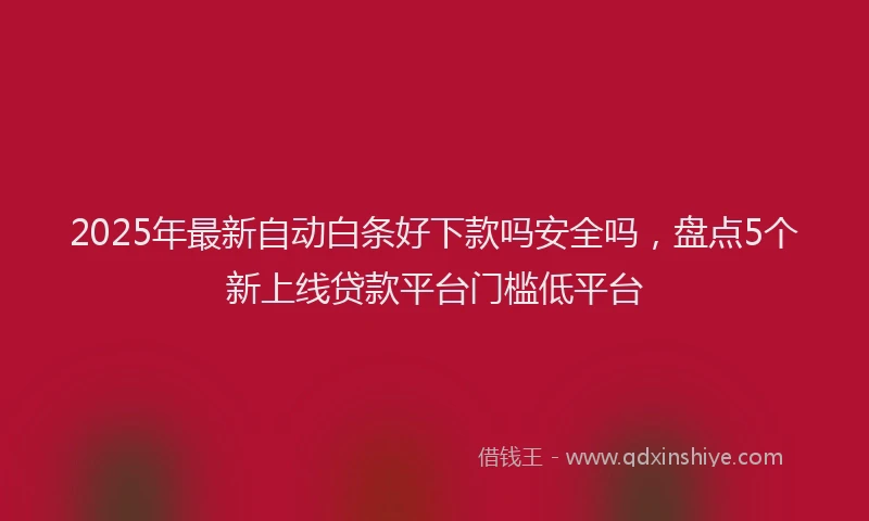 2025年最新自动白条好下款吗安全吗，盘点5个新上线贷款平台门槛低平台