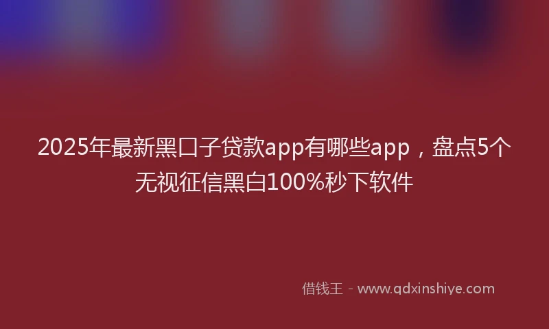 2025年最新黑口子贷款app有哪些app，盘点5个无视征信黑白100%秒下软件