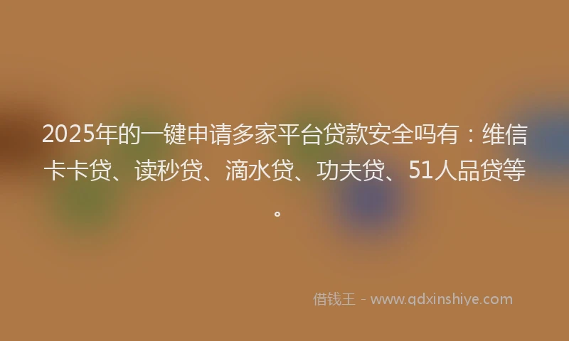 2025年的一键申请多家平台贷款安全吗有：维信卡卡贷、读秒贷、滴水贷、功夫贷、51人品贷等。