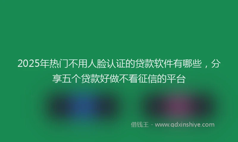 2025年热门不用人脸认证的贷款软件有哪些，分享五个贷款好做不看征信的平台