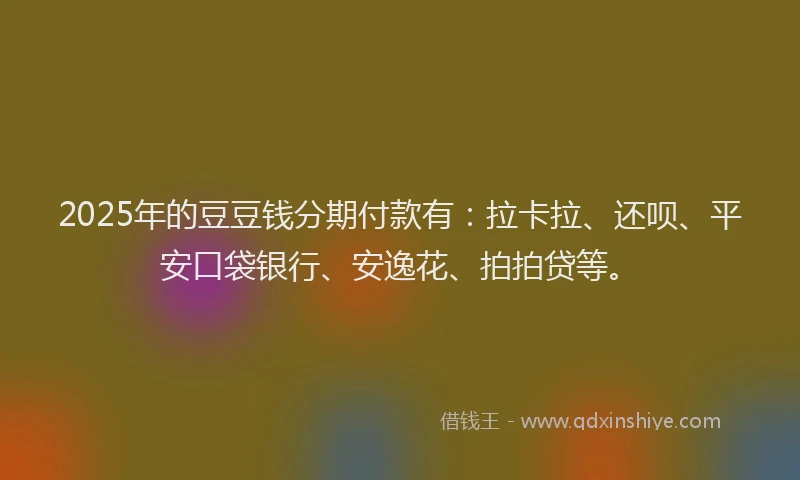 2025年的豆豆钱分期付款有：拉卡拉、还呗、平安口袋银行、安逸花、拍拍贷等。