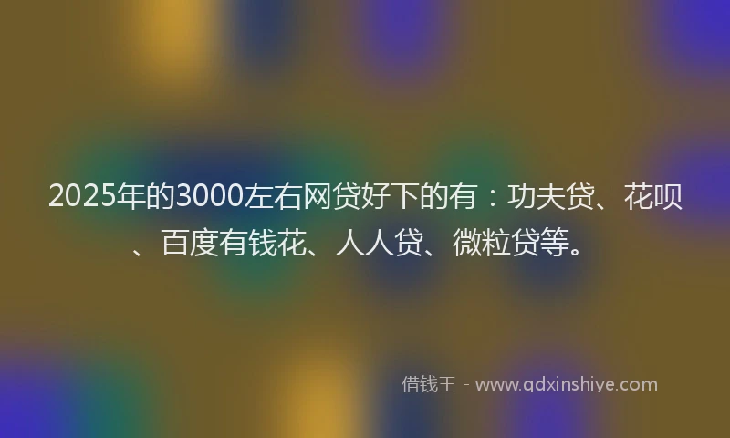 2025年的3000左右网贷好下的有：功夫贷、花呗、百度有钱花、人人贷、微粒贷等。