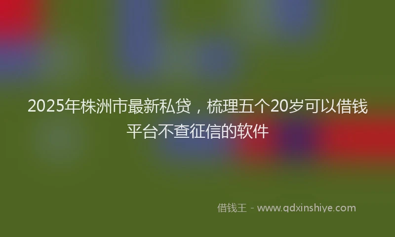2025年株洲市最新私贷，梳理五个20岁可以借钱平台不查征信的软件