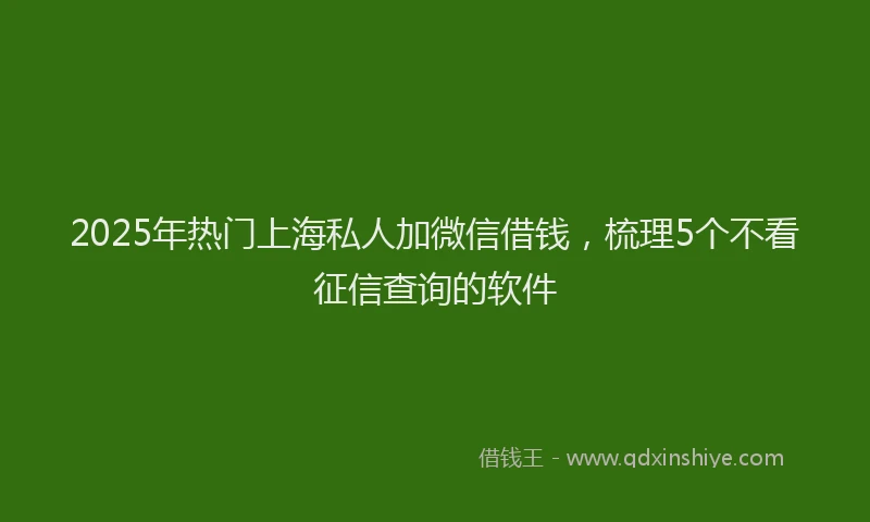2025年热门上海私人加微信借钱，梳理5个不看征信查询的软件