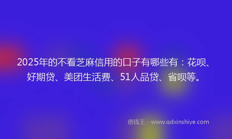2025年的不看芝麻信用的口子有哪些有：花呗、好期贷、美团生活费、51人品贷、省呗等。