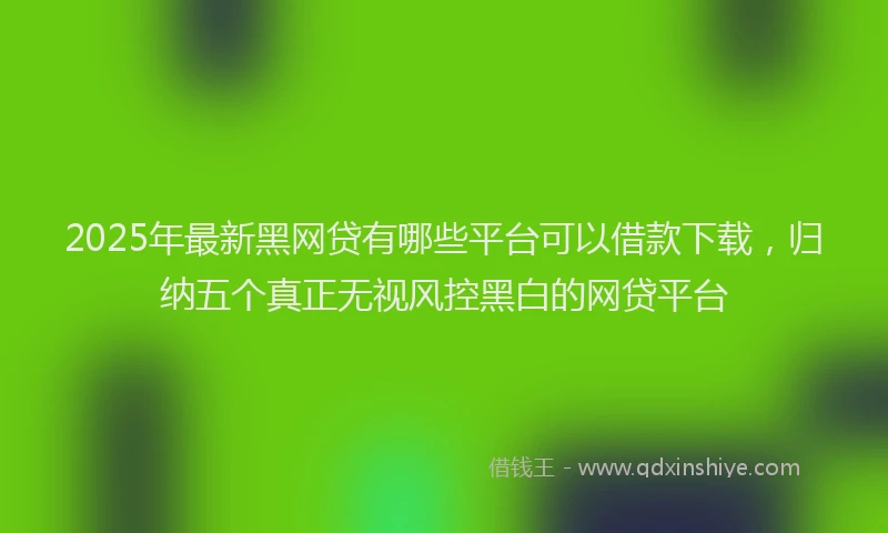 2025年最新黑网贷有哪些平台可以借款下载，归纳五个真正无视风控黑白的网贷平台