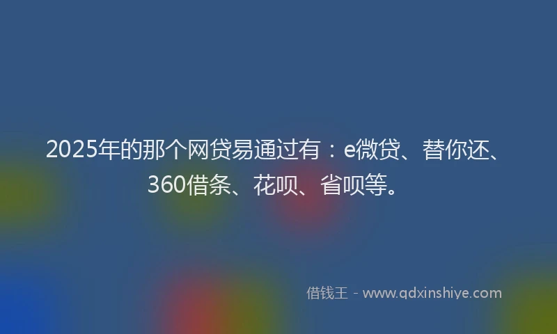 2025年的那个网贷易通过有：e微贷、替你还、360借条、花呗、省呗等。