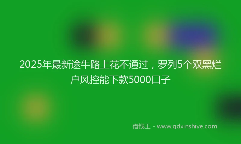 2025年最新途牛路上花不通过，罗列5个双黑烂户风控能下款5000口子