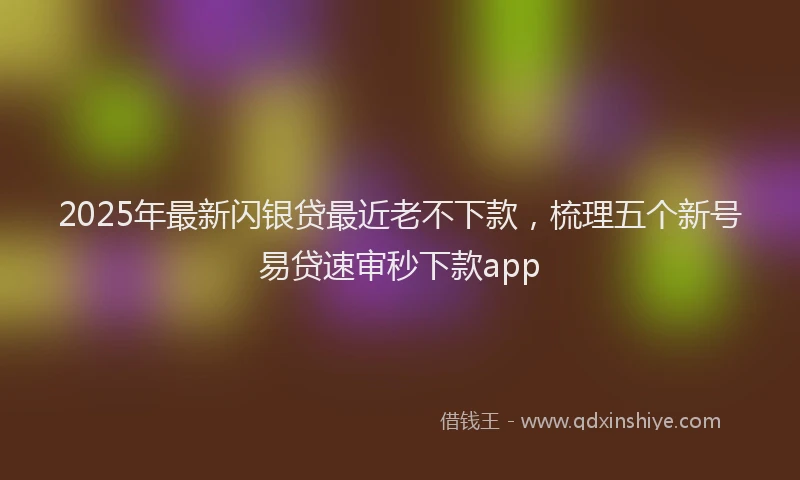 2025年最新闪银贷最近老不下款，梳理五个新号易贷速审秒下款app