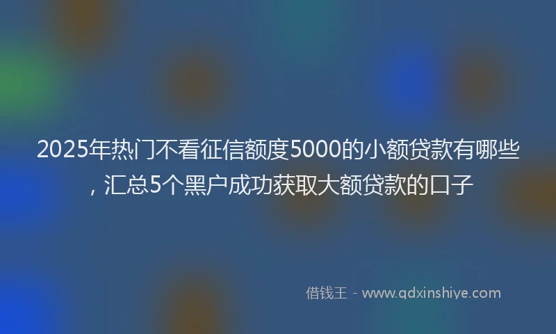 2025年热门不看征信额度5000的小额贷款有哪些，汇总5个黑户成功获取大额贷款的口子