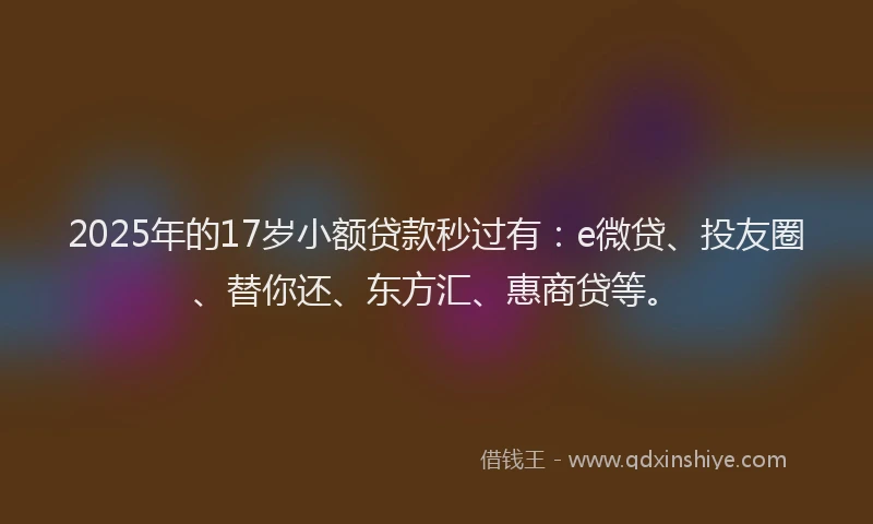 2025年的17岁小额贷款秒过有：e微贷、投友圈、替你还、东方汇、惠商贷等。