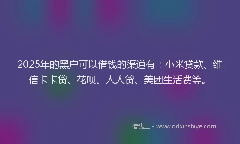 2025年的黑户可以借钱的渠道有：小米贷款、维信卡卡贷、花呗、人人贷、美团生活费等。
