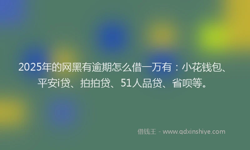 2025年的网黑有逾期怎么借一万有：小花钱包、平安i贷、拍拍贷、51人品贷、省呗等。