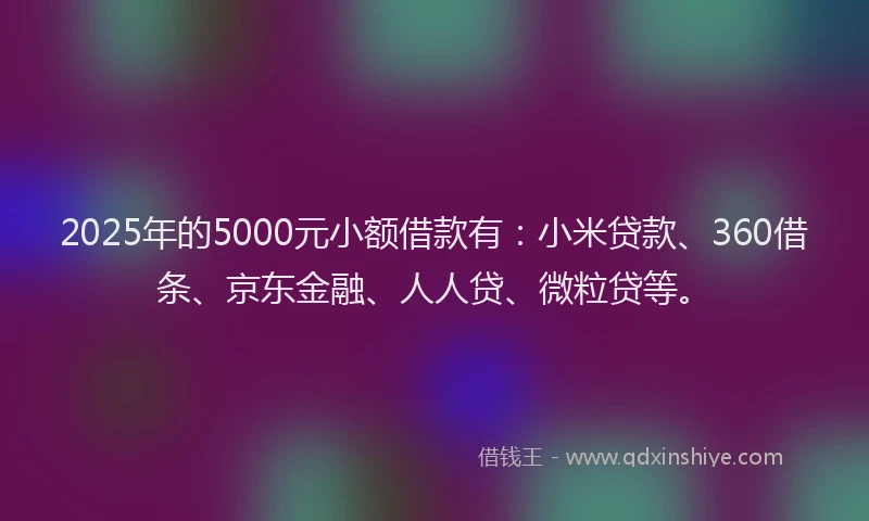 2025年的5000元小额借款有：小米贷款、360借条、京东金融、人人贷、微粒贷等。