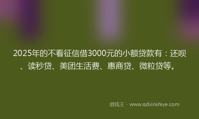 2025年的不看征信借3000元的小额贷款有：还呗、读秒贷、美团生活费、惠商贷、微粒贷等。
